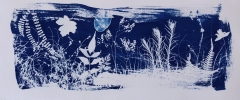 Cyanotype-134-JoelleJourdan-w.jpg