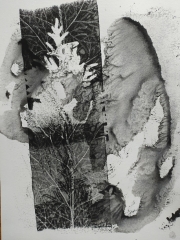 1764604116691-JoelleJourdan.jpg
